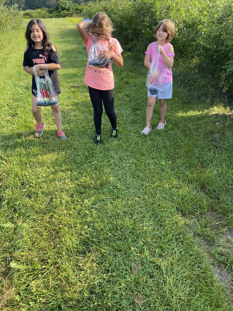 Field trip